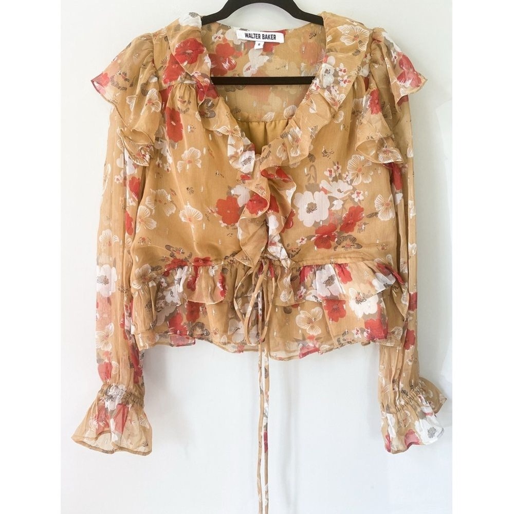 Walter Baker Womens Blouse S Floral Ruffle Sheer Boho Fairy Romantic Fall